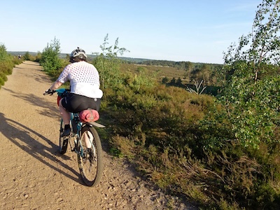 Chalk heathland is one of the rarer UK habitats.