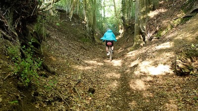 A sunken lane near Hindhead.