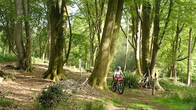 Riding through beech woodland is always pleasant.