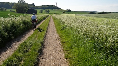 Riding through beech woodland is always pleasant.