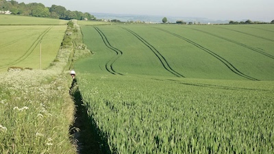 Following the line of the old Roman Road towards Salisbury.