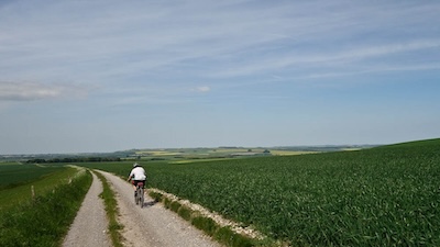 There's a big climb out of the Vale of Pewsey with a long descent back down to Avebury.
