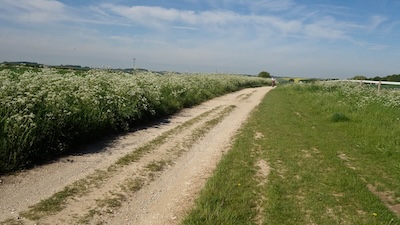 The Ridgeway provides some excellent gravel friendly riding (in the dry).