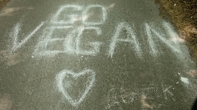 No idea why this was painted on the lane leading back into Reading.