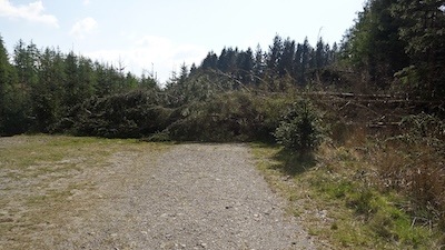 Wind blow across the track on Claife Heights.