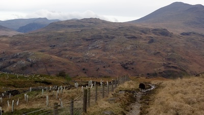 The start of the descent into Eskdale down the flanks of Harter Fell