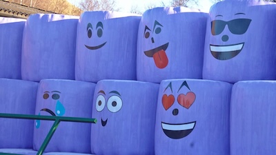 An artistic farmer at work!