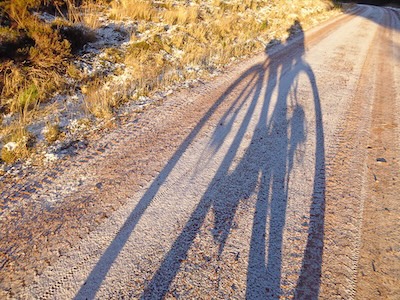 In the shadows of giants