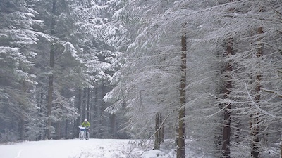 As the snow fall stopped it led to pretty views.