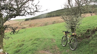 About to enter Hafran Forest.