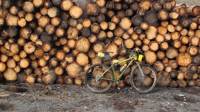 Obligatory arty shot in front of a stack of felled timber.